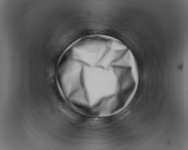 X0000088890082200707061441