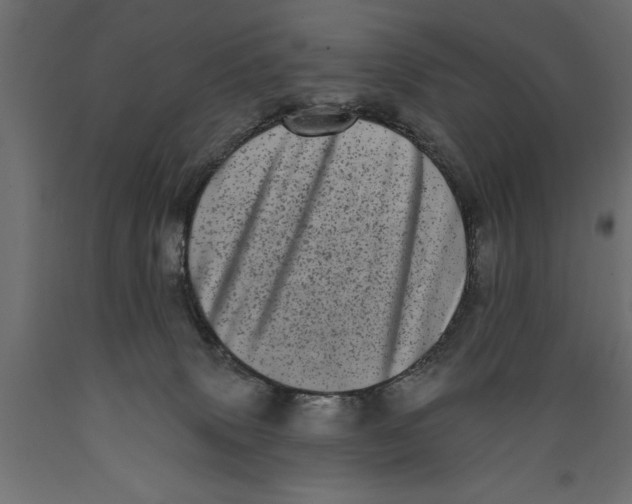 X0000088890083200707061441