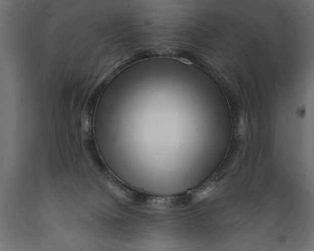 X0000088890084200707061441