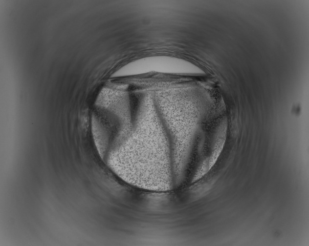 X0000088890085200707061441