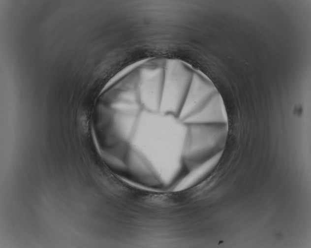 X0000088890086200707061441