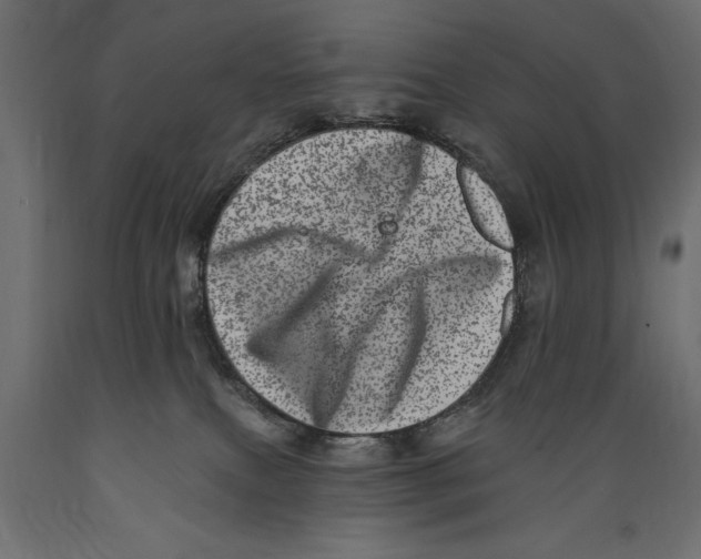 X0000088890087200707061441