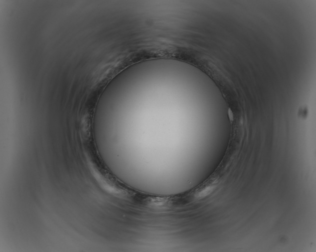 X0000088890088200707061441