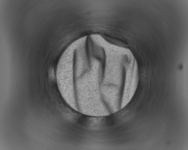 X0000088890089200707061441