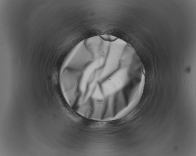 X0000088890090200707061441