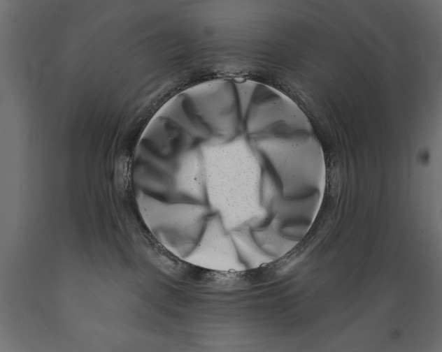 X0000088890093200707061441