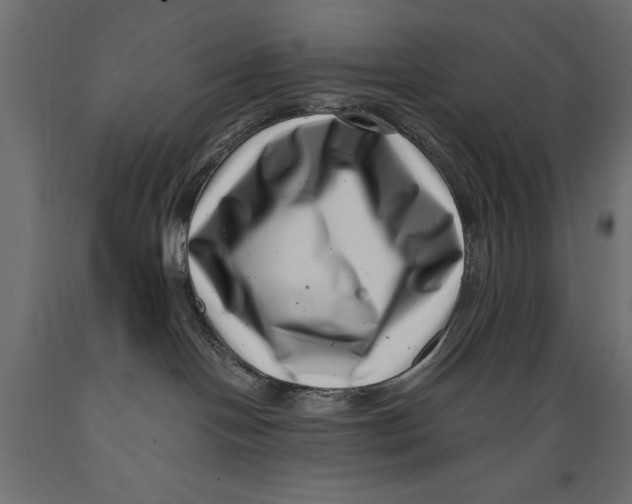 X0000088890094200707061441