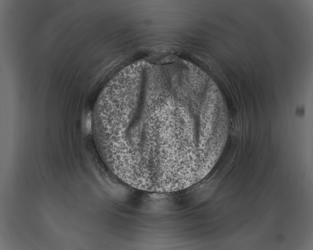 X0000088890095200707061441