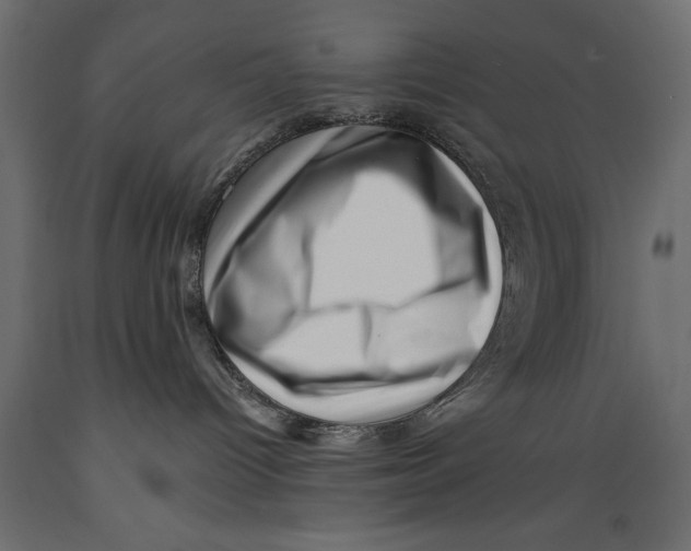 X0000088890096200707061441