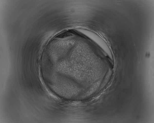 X0000088890097200707061441