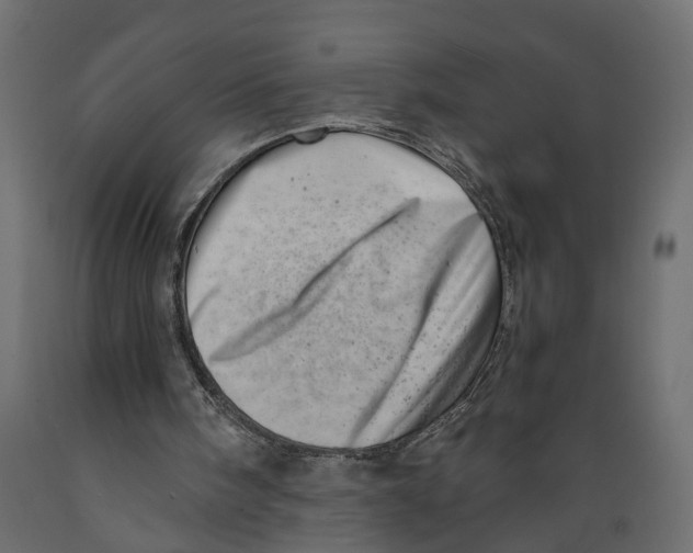 X0000088890098200707061441