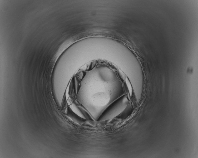 X0000088890099200707061441