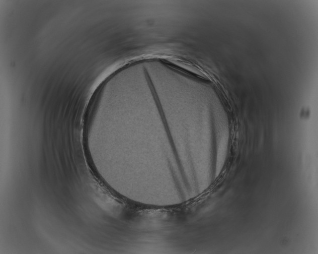 X0000088890100200707061441