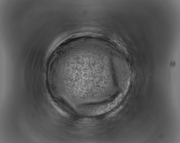 X0000088890101200707061441