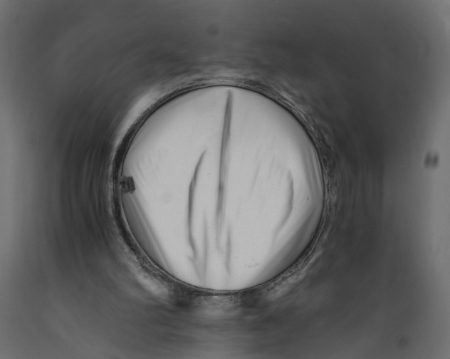 X0000088890102200707061441