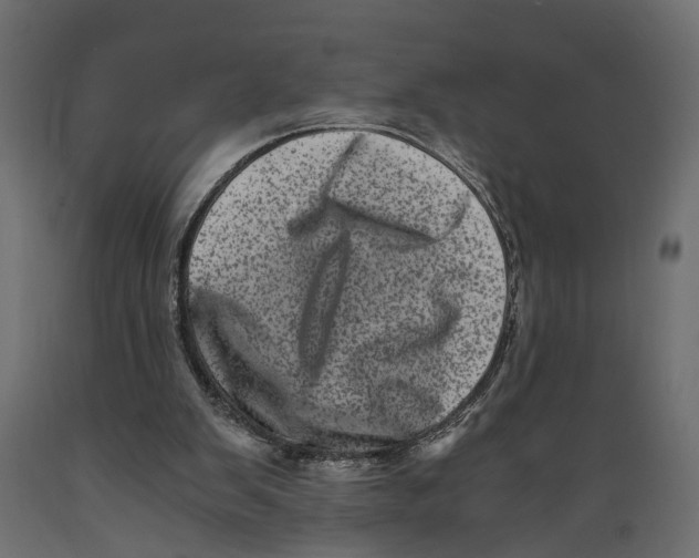 X0000088890103200707061441