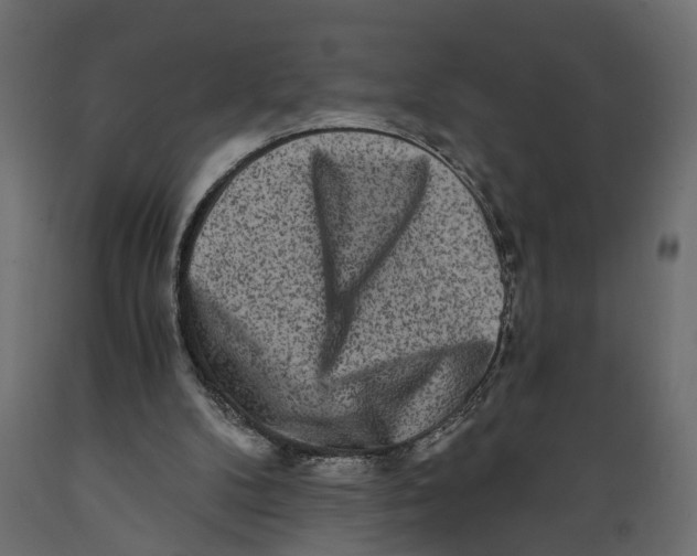 X0000088890104200707061441