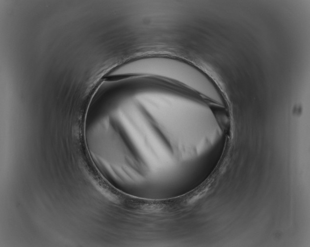 X0000088890105200707061441