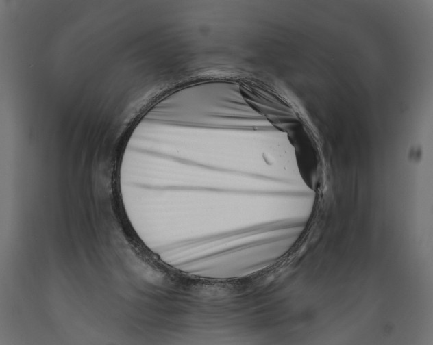 X0000088890106200707061441