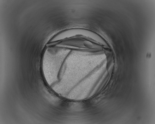 X0000088890107200707061441