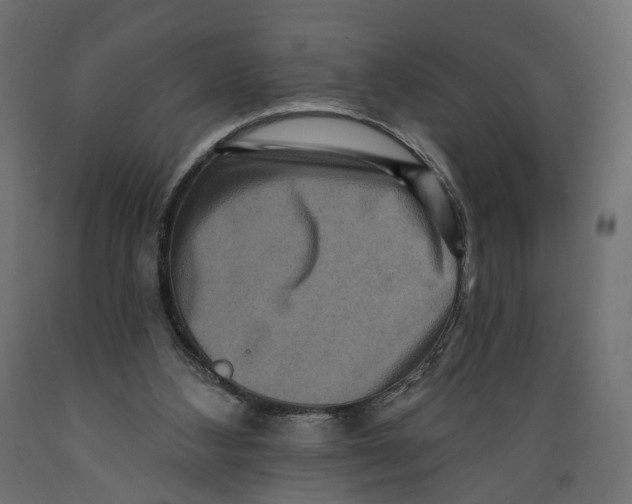 X0000088890108200707061441