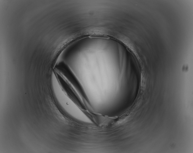 X0000088890109200707061441