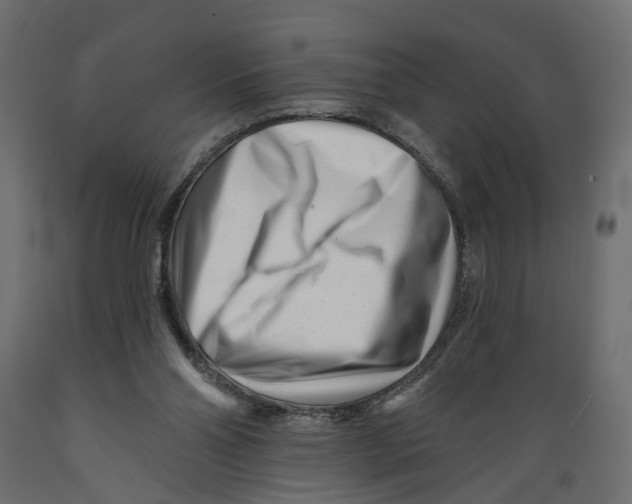 X0000088890110200707061441