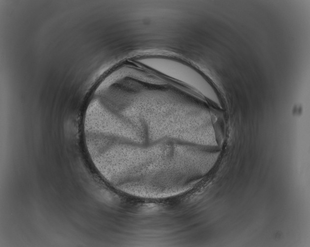 X0000088890111200707061441