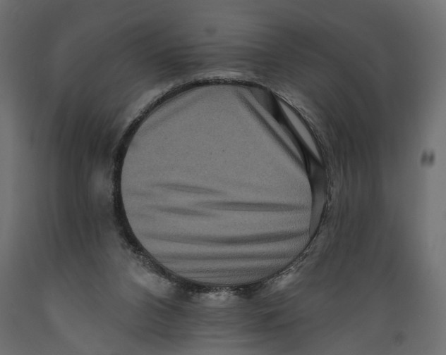 X0000088890112200707061441