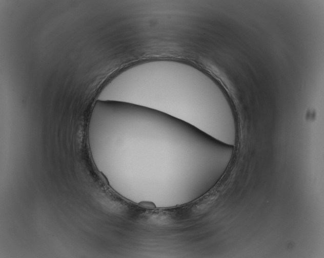 X0000088890113200707061441