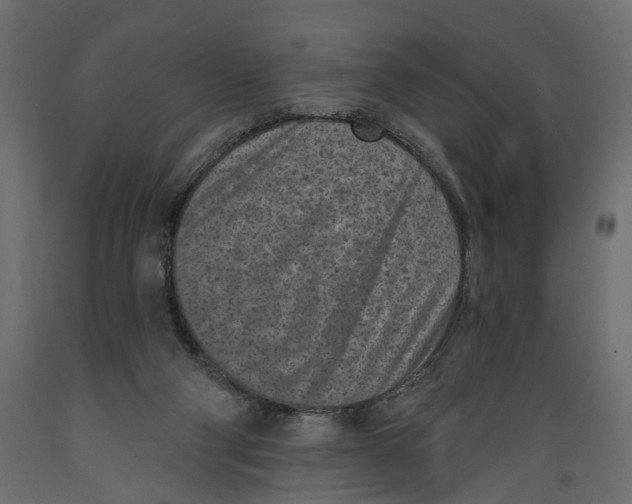 X0000088890114200707061441