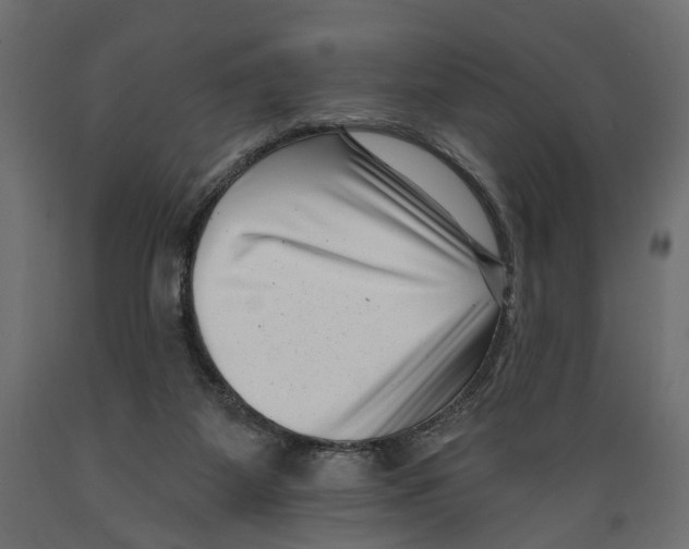 X0000088890115200707061441