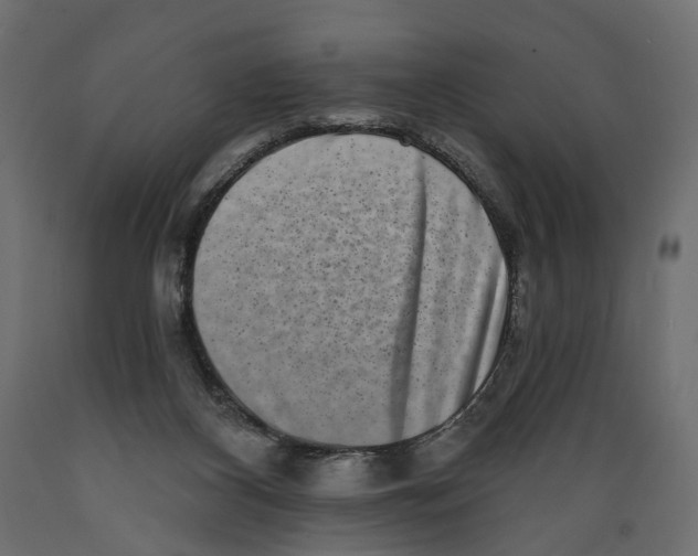 X0000088890116200707061441
