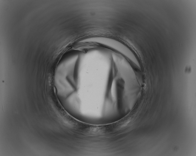 X0000088890117200707061441
