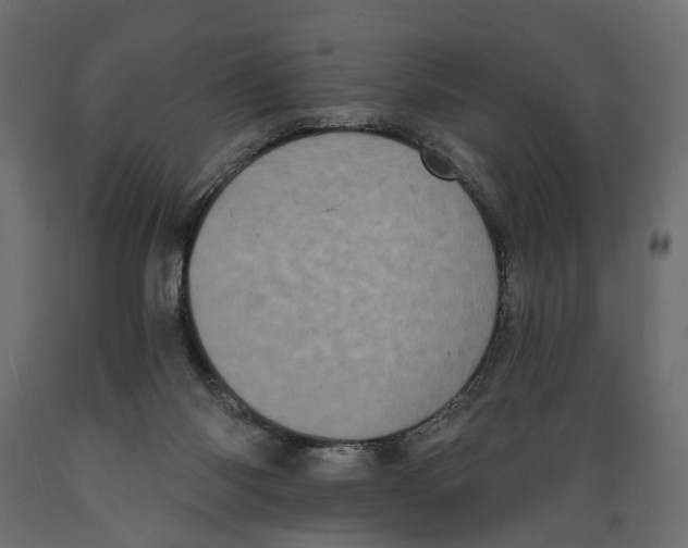 X0000088890118200707061441