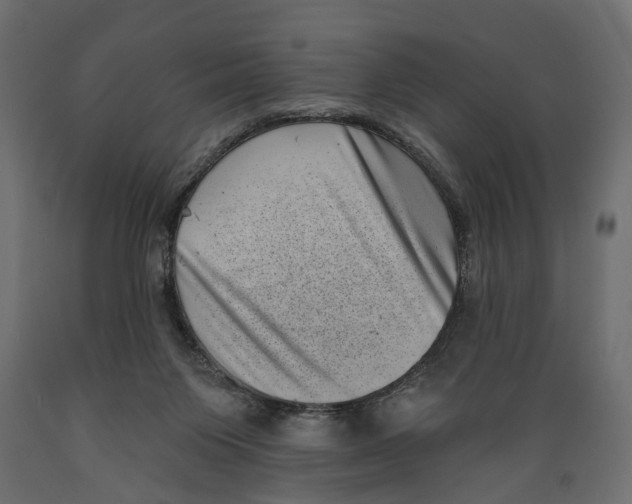 X0000088890119200707061440