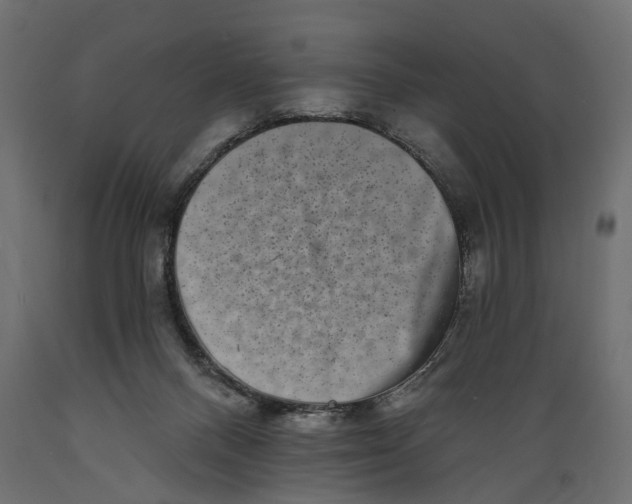 X0000088890120200707061440