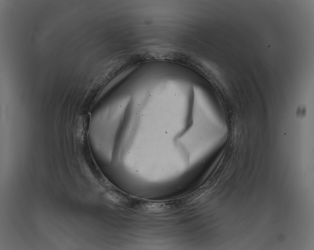X0000088890121200707061440