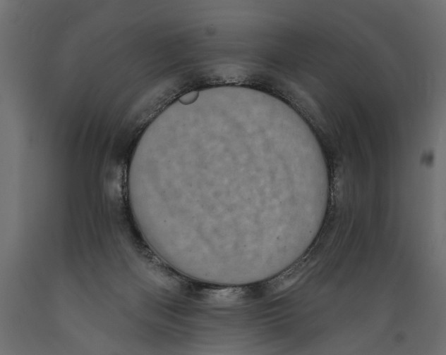 X0000088890122200707061440