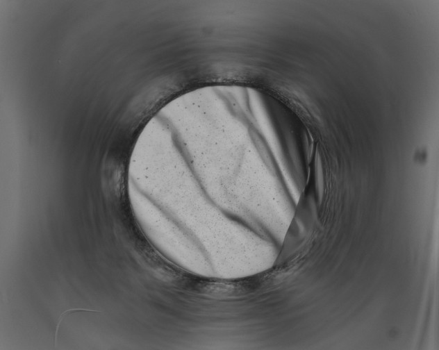 X0000088890123200707061440