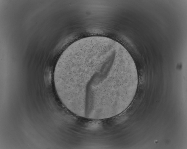 X0000088890124200707061440