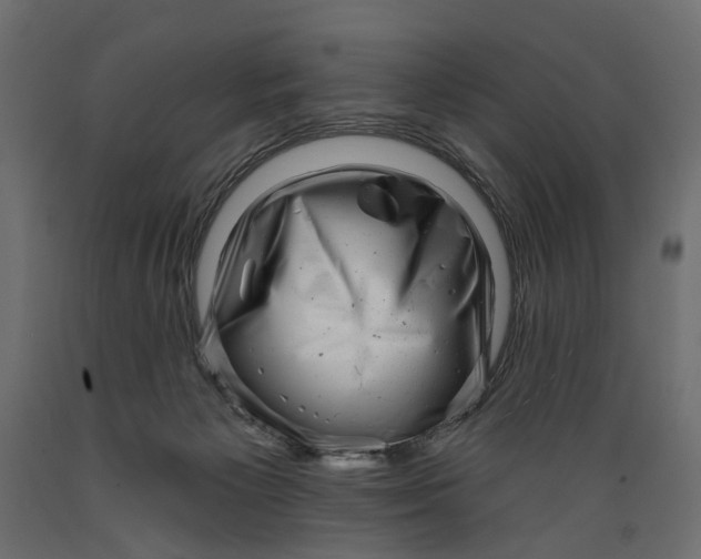X0000088890125200707061440