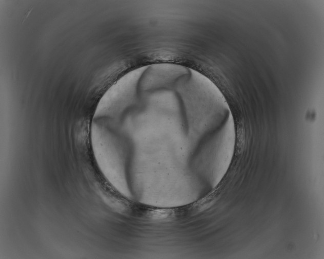 X0000088890126200707061440