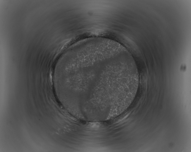 X0000088890127200707061440