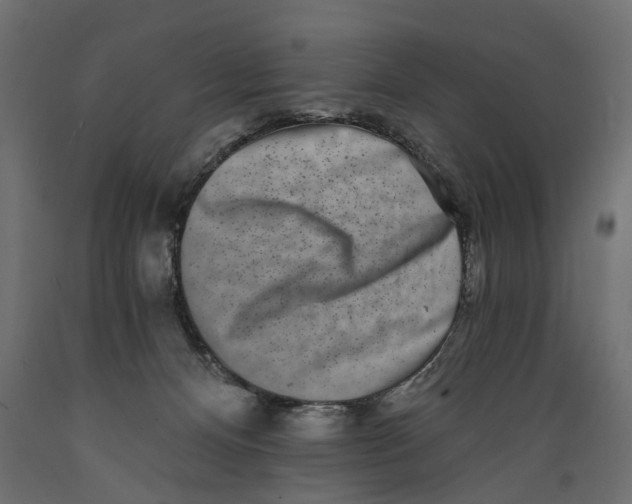 X0000088890128200707061440
