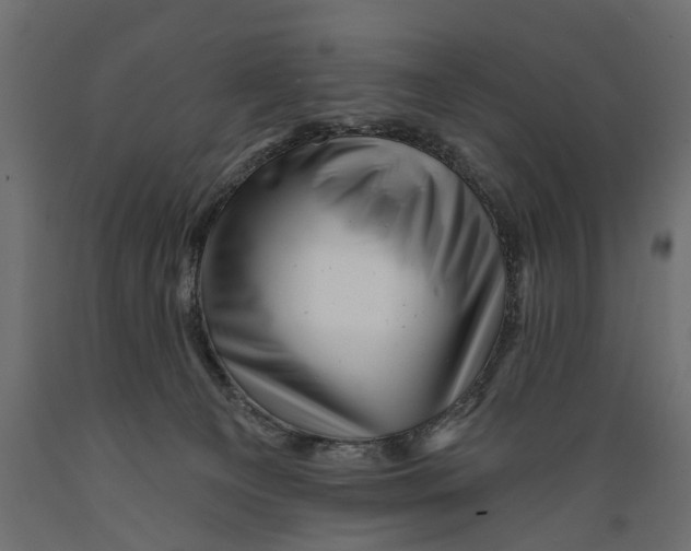 X0000088890129200707061440
