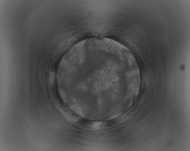X0000088890130200707061440