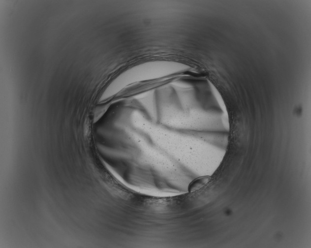 X0000088890131200707061440