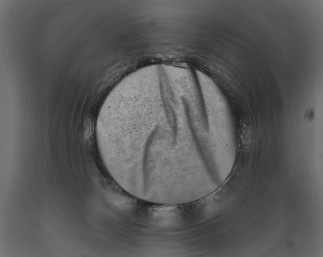 X0000088890132200707061440