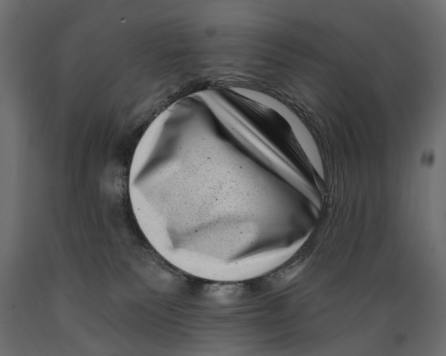 X0000088890135200707061440